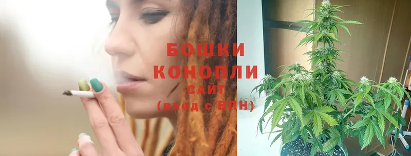 Бошки марихуана SATIVA & INDICA  Саров 